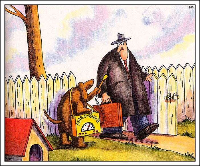 twilly18's tweet photo. #RandomLarson https://t.co/trkc2BuE8x