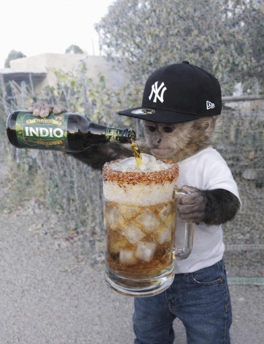 🇲🇽 México Mágico ✨ tweet media