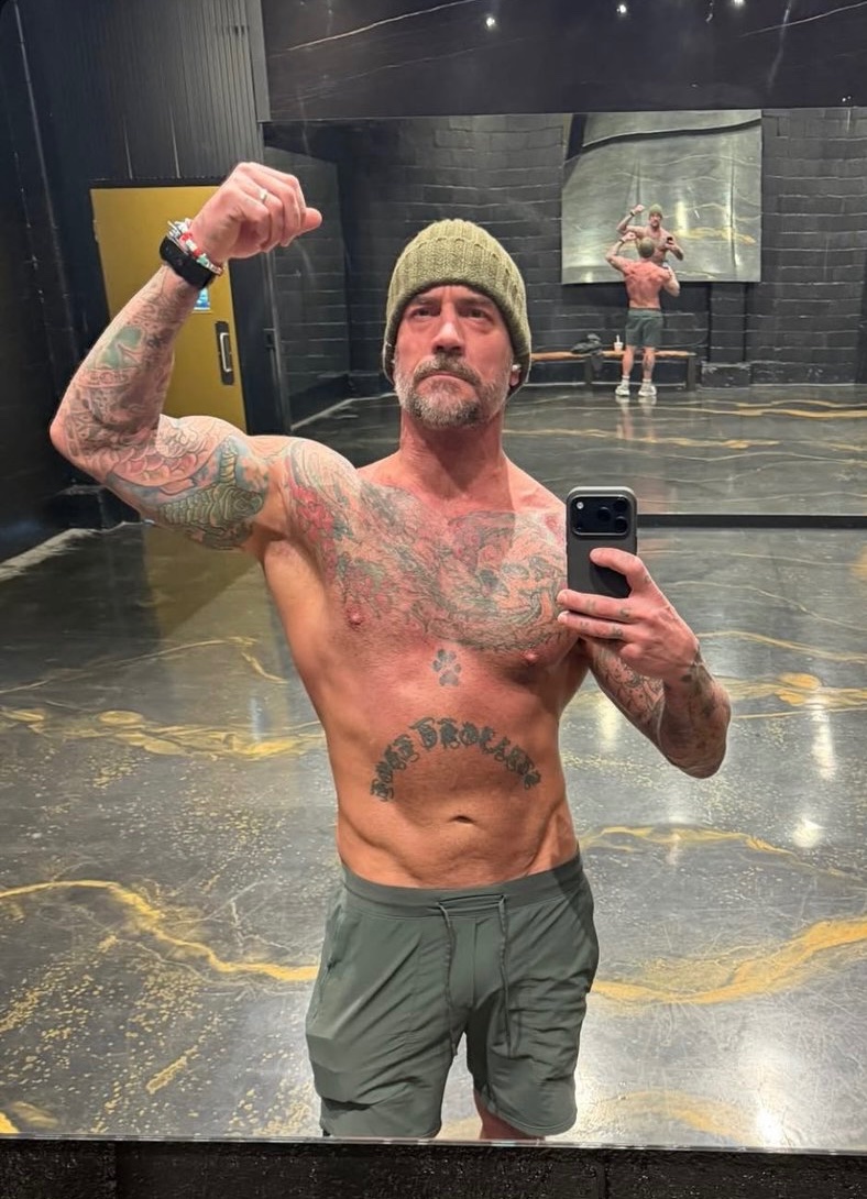 hourly cm punk tweet media