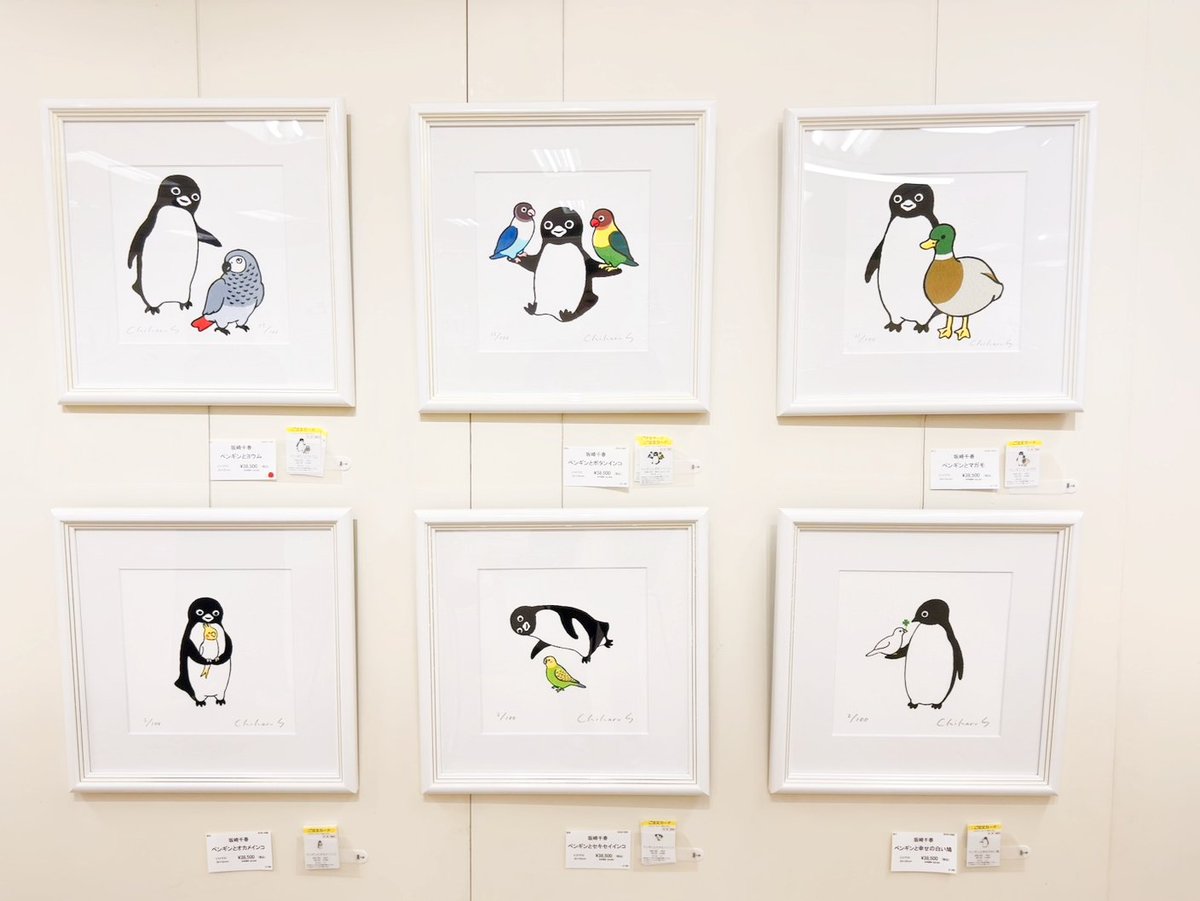 展示作品のご紹介》 『ペンギン花鳥園』より? ペンギンと、 「ヨウム 