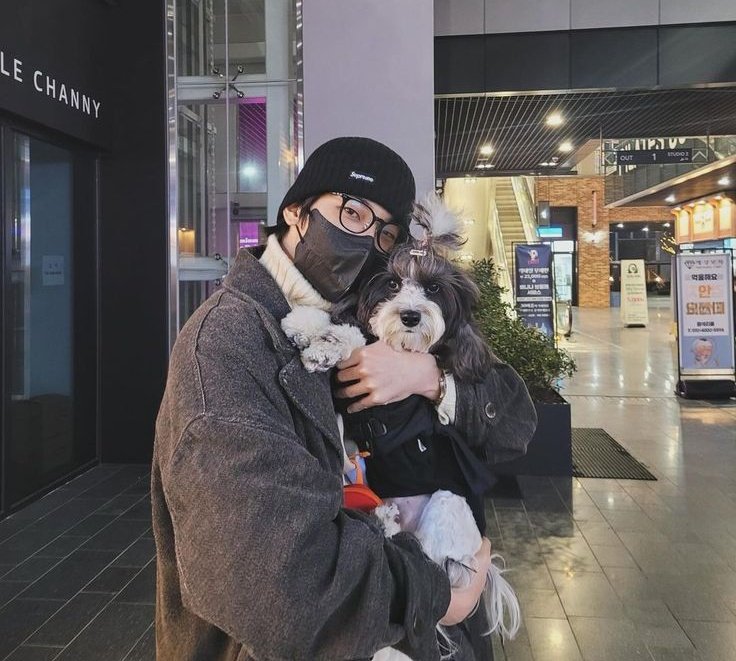 cafeminwon's tweet photo. wonwoo with his dog vs wonwoo with his puppy🥹🤏 https://t.co/PkL7OKiHaW