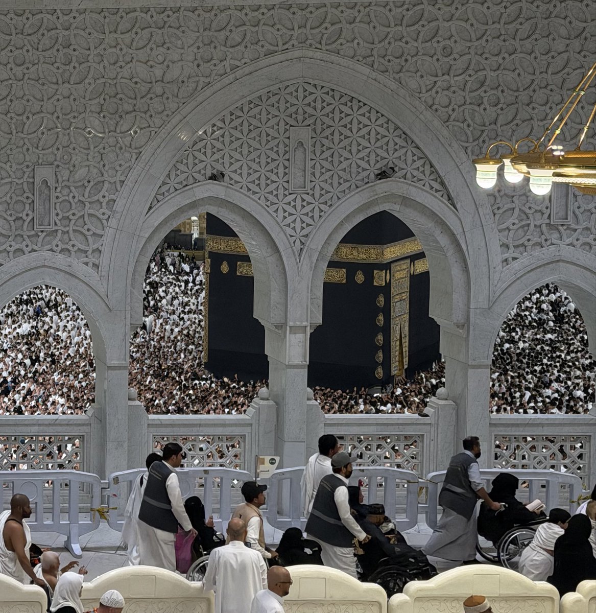 مـها tweet media