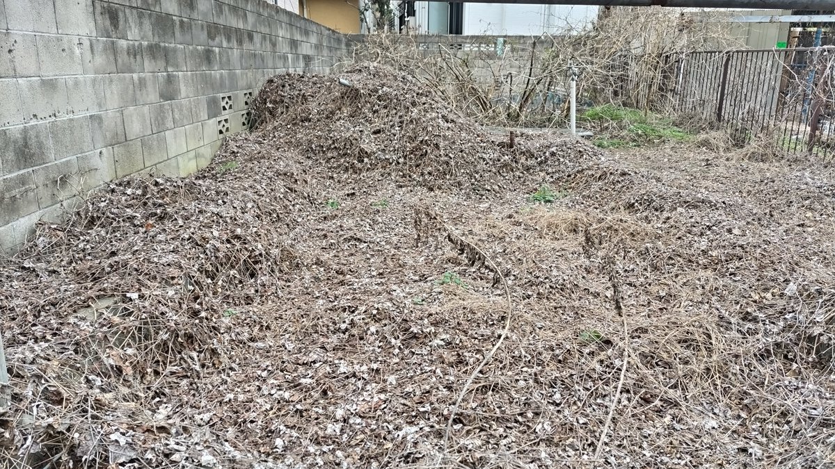 KandaMori's tweet image. 神田森莉ハムブログ: 『ウォーキングとバラライカ』代田橋、沖縄タウン、方南町、神田川、環状七号線、大原、桜上水 blog.kandamori.net/2026/03/blog-p…

"Walking and Balalaika" Daitabashi, Okinawa Town, Honancho, Kanda River, Route 7, Ohara, Sakurajosui

#soundscapes #ambient #originalmusic