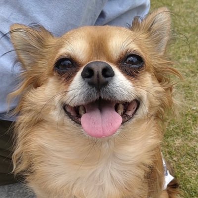 しょうへい tweet media