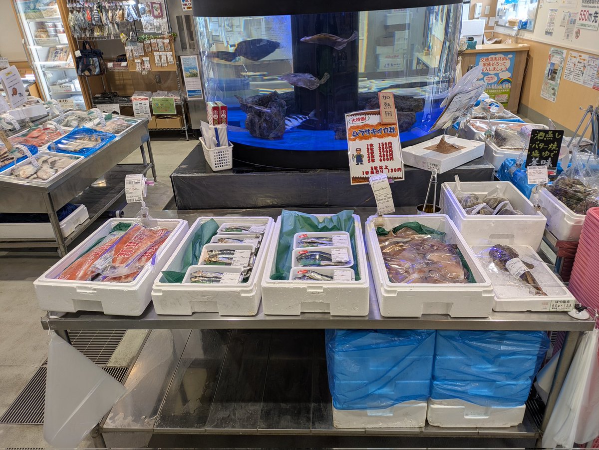 おはようございます！ あるでぃ〜ばは、今日も元気に10時開店です