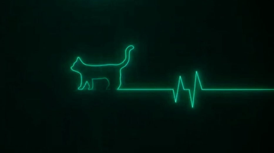 Project 𝕯 (@gutterrunners) on Twitter photo 