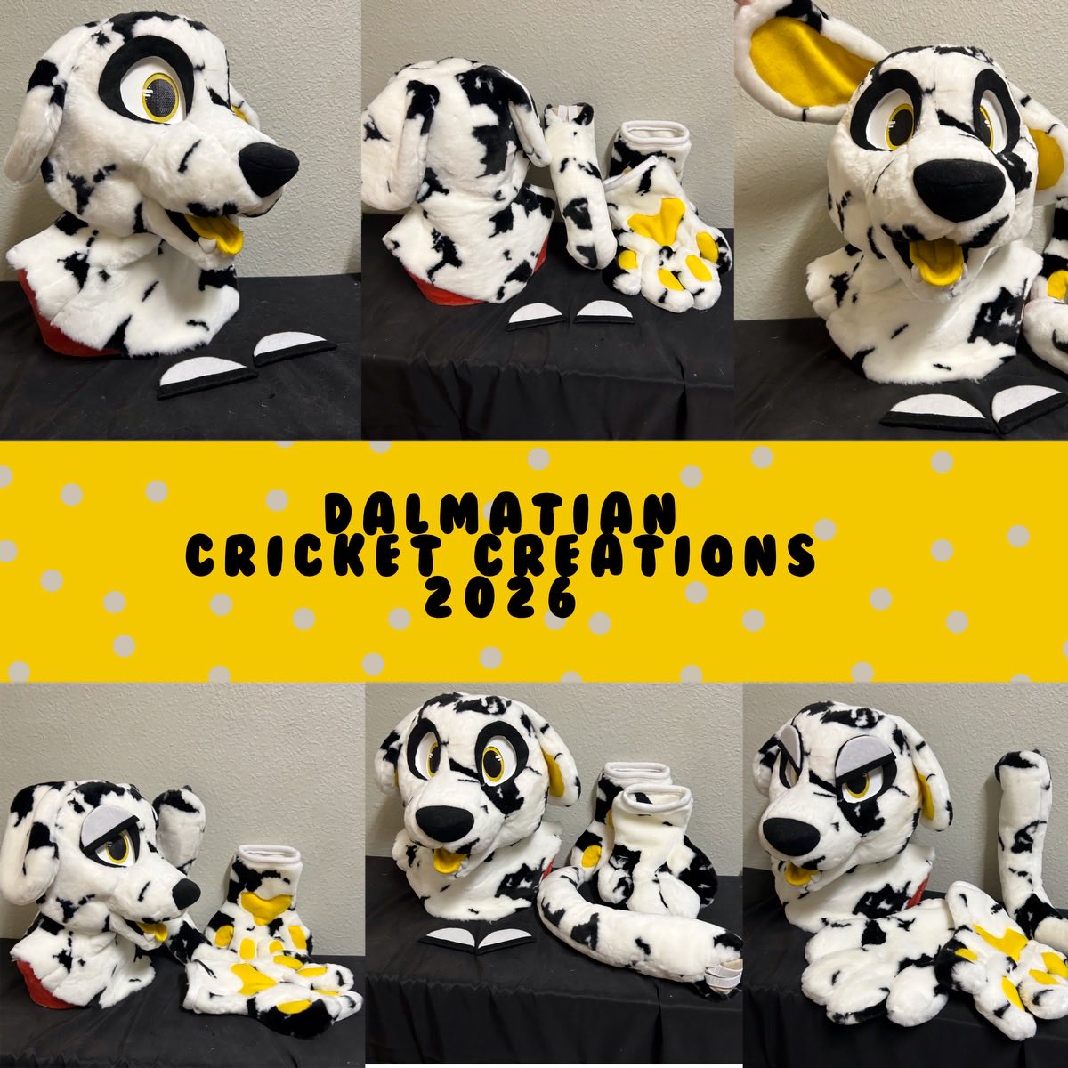 Cricket Creations tweet media
