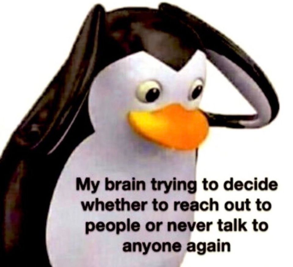 dinosaur tweet media