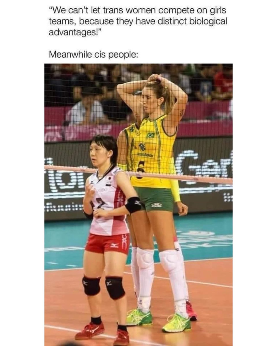 Queen Chimerazilla ☭🐾 🏳️‍⚧️ tweet media