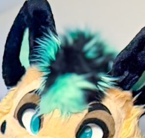 EllieKitty tweet media