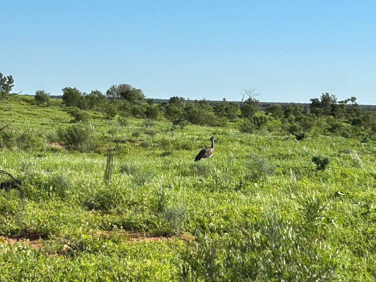 David Sandow tweet media