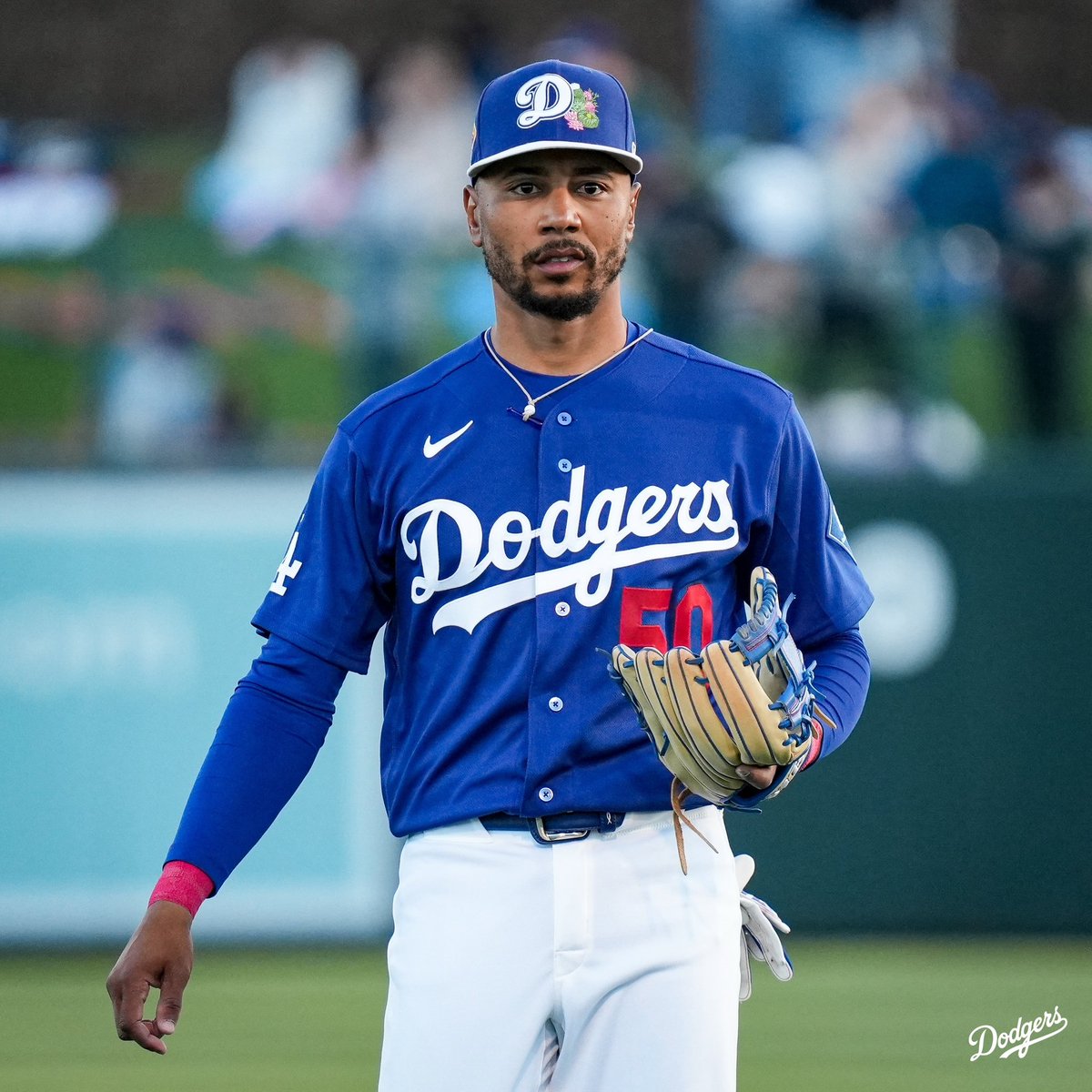 #ITFDB