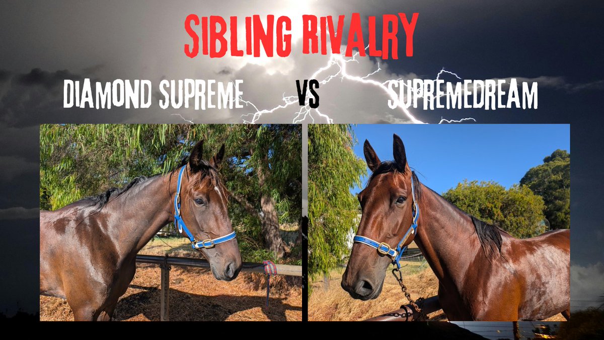 K Howlett Racing tweet media