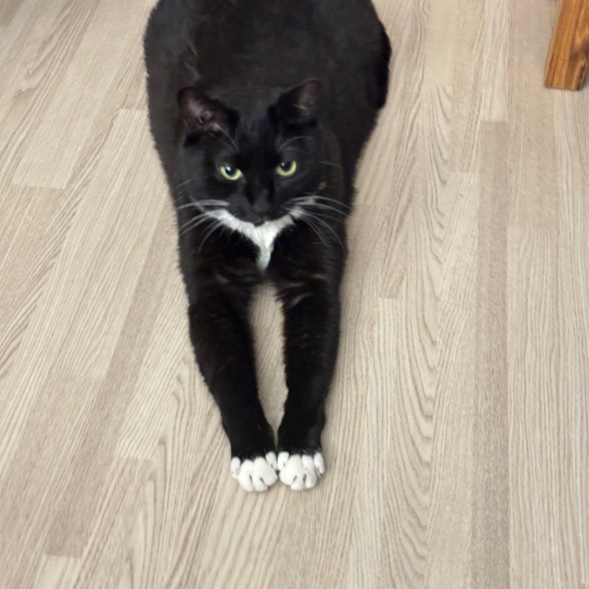 가족찾는 궁이🖤 tweet media