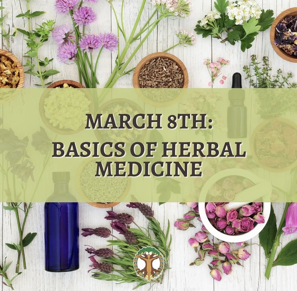 Learn the fundamentals and terminology relevant to herbalism, such as extracts, tinctures, capsules, infusions, decoctions, standardized, and holistic balance. We'll also discuss the basics about safety and efficacy of herbal remedies. holisticlivingschool.org/product/natura…