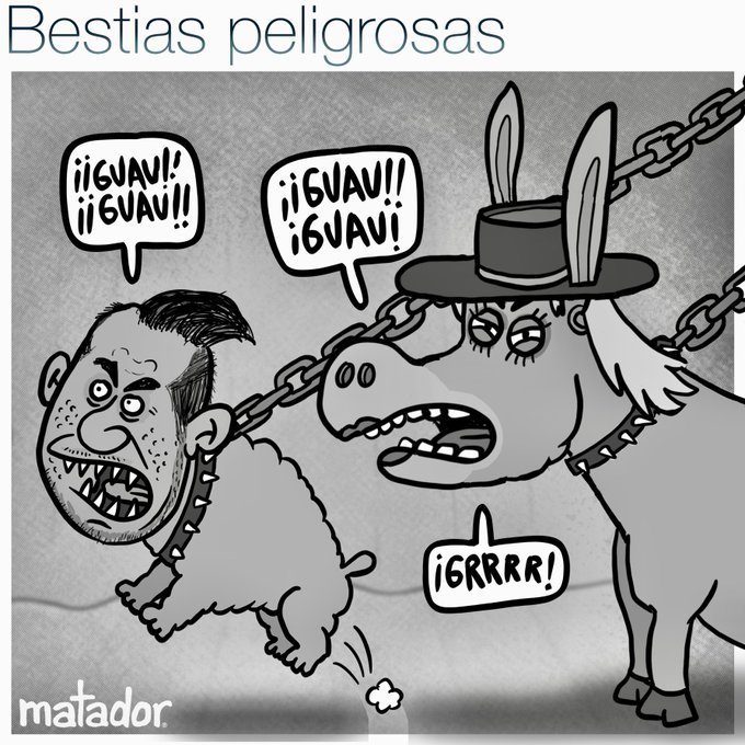 Jesse7022's tweet photo. @SebastianNohra @tavo2366 Es un animal, pero aún sin identificar #Inderena ¿👒🐀🫏🐕🦺? https://t.co/54Zn8C8EDH