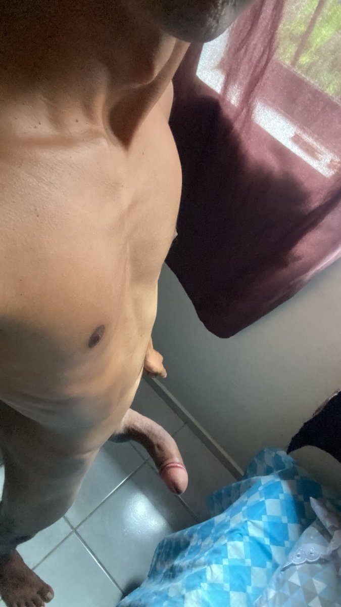 Novin dot jp tweet media