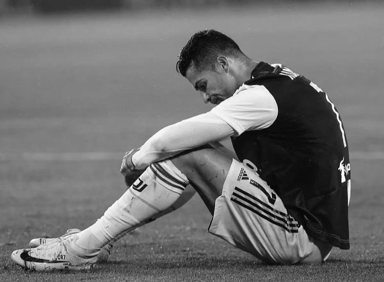 Sylvester tweet media