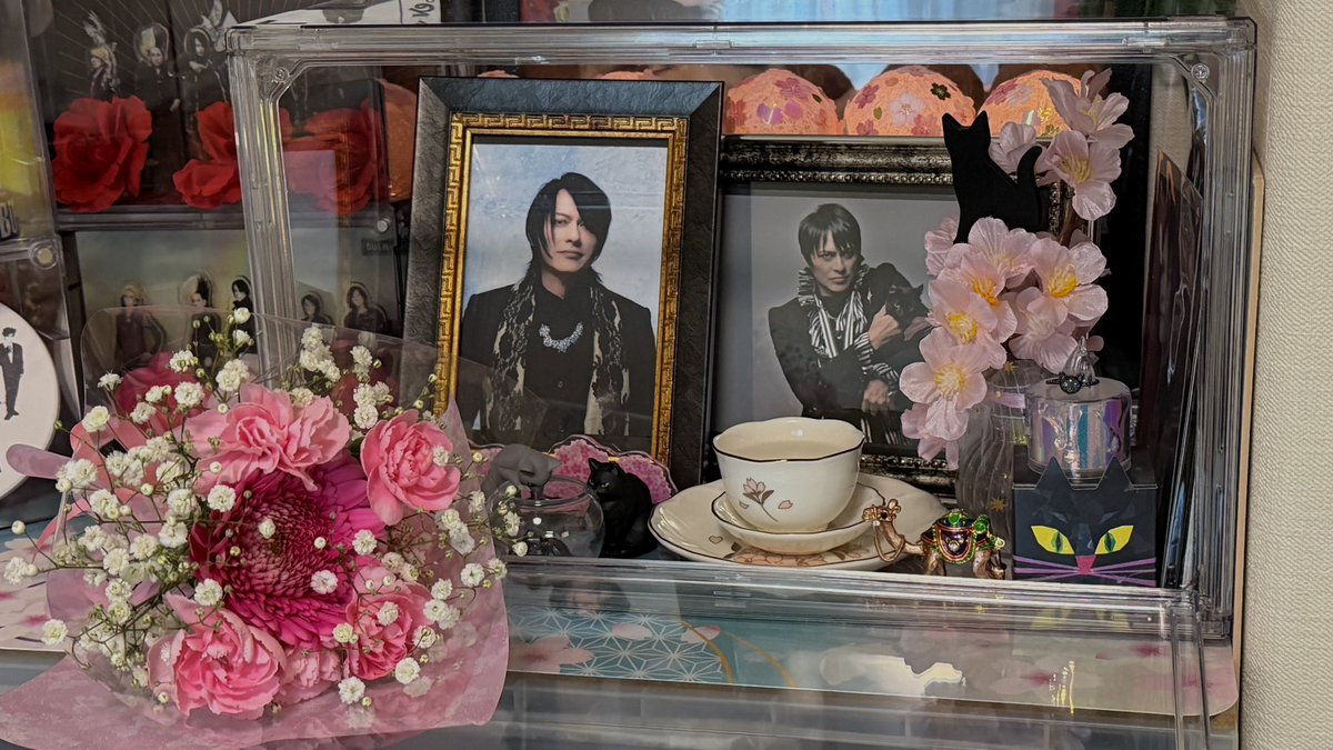 涼ぷ🐠 tweet media