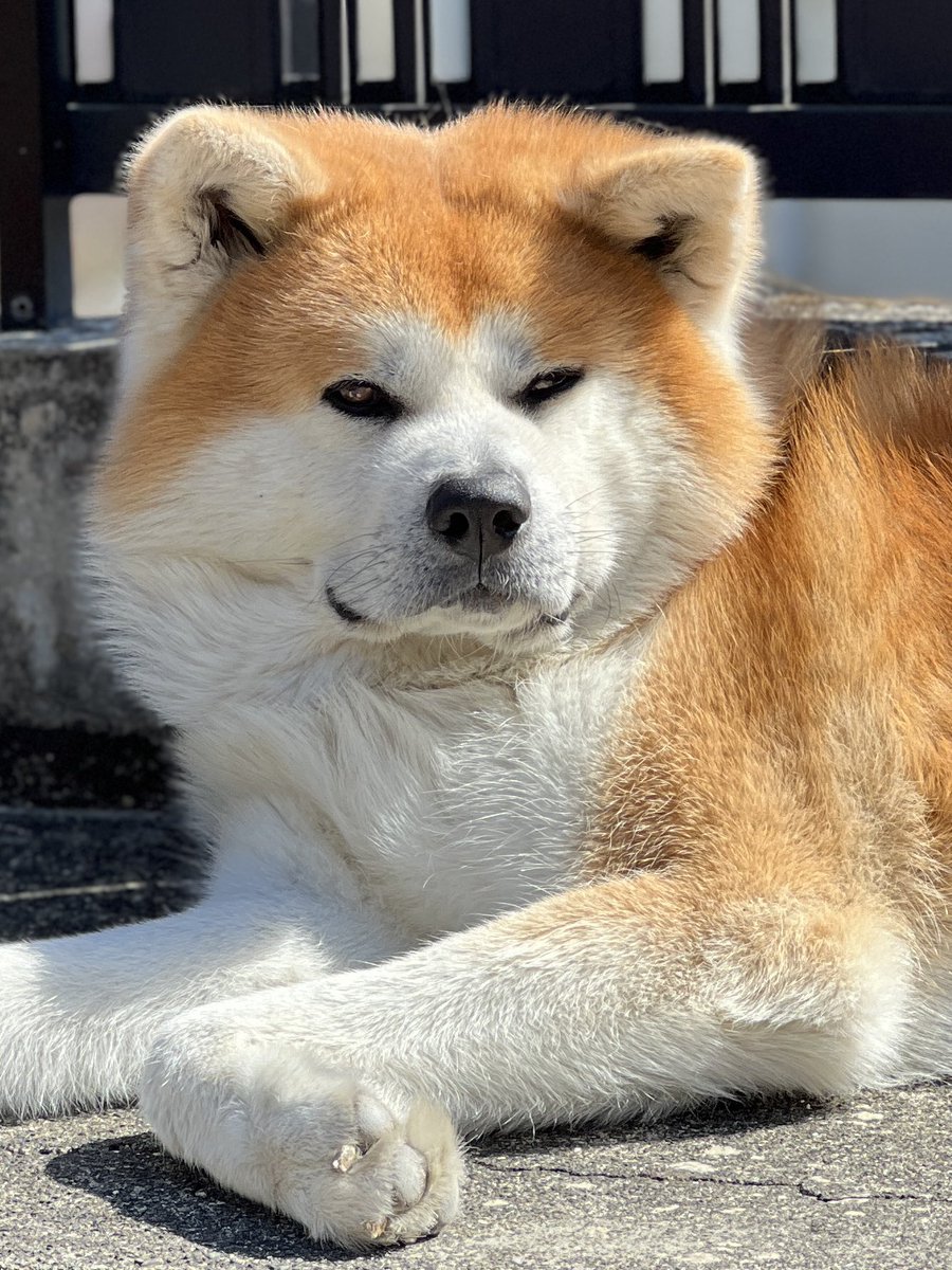 深海マザー tweet media