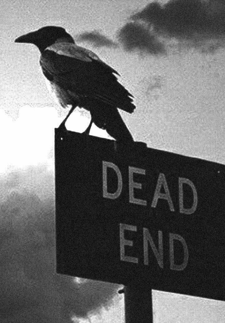 ll__Raven's tweet photo. 𝐼𝑡 ℎ𝑎𝑠 𝑏𝑒𝑒𝑛 𝑎 𝑝𝑙𝑒𝑎𝑠𝑢𝑟𝑒 𝑠𝑒𝑟𝑣𝑖𝑛𝑔 𝑦𝑜𝑢, 𝑅𝑎𝑐𝑐𝑜𝑜𝑛 𝐶𝑖𝑡𝑦 ✨️🤍 https://t.co/WYofnyAA9n