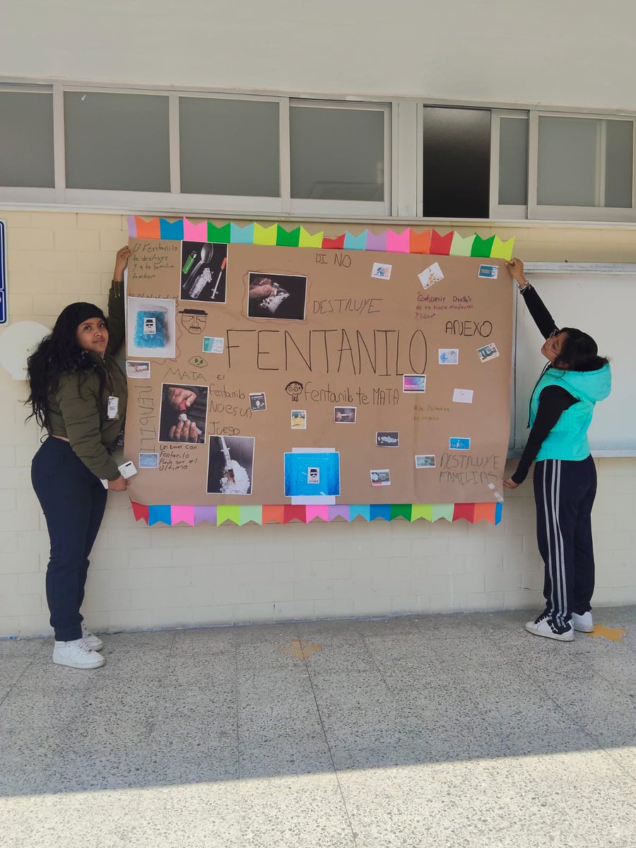 ConalepCdAzteca's tweet photo. Estudiantes participan en actividades deportivas, culturales, recreativas y de lectura, fortaleciendo la convivencia y un ambiente sano y libre de adicciones. 💚📚@Conalep_Edomex #ApasionadamenteCONALEP
#OrgullosamenteCONALEP
#ElPoderDeServir
#JornadaPorLaPazYContraLasAdicciones https://t.co/REU5WPqTWR