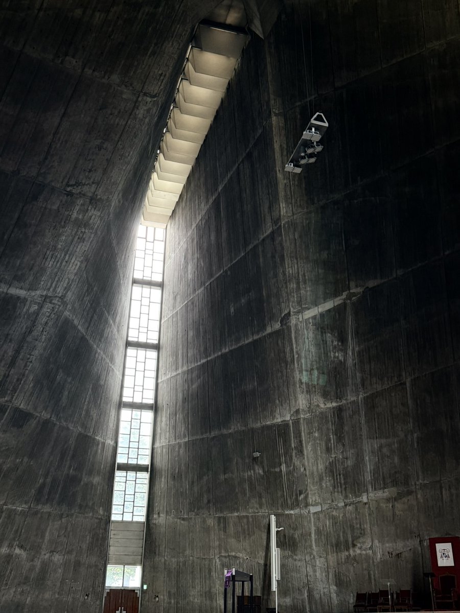 Venera Kate ❋ SF tweet media