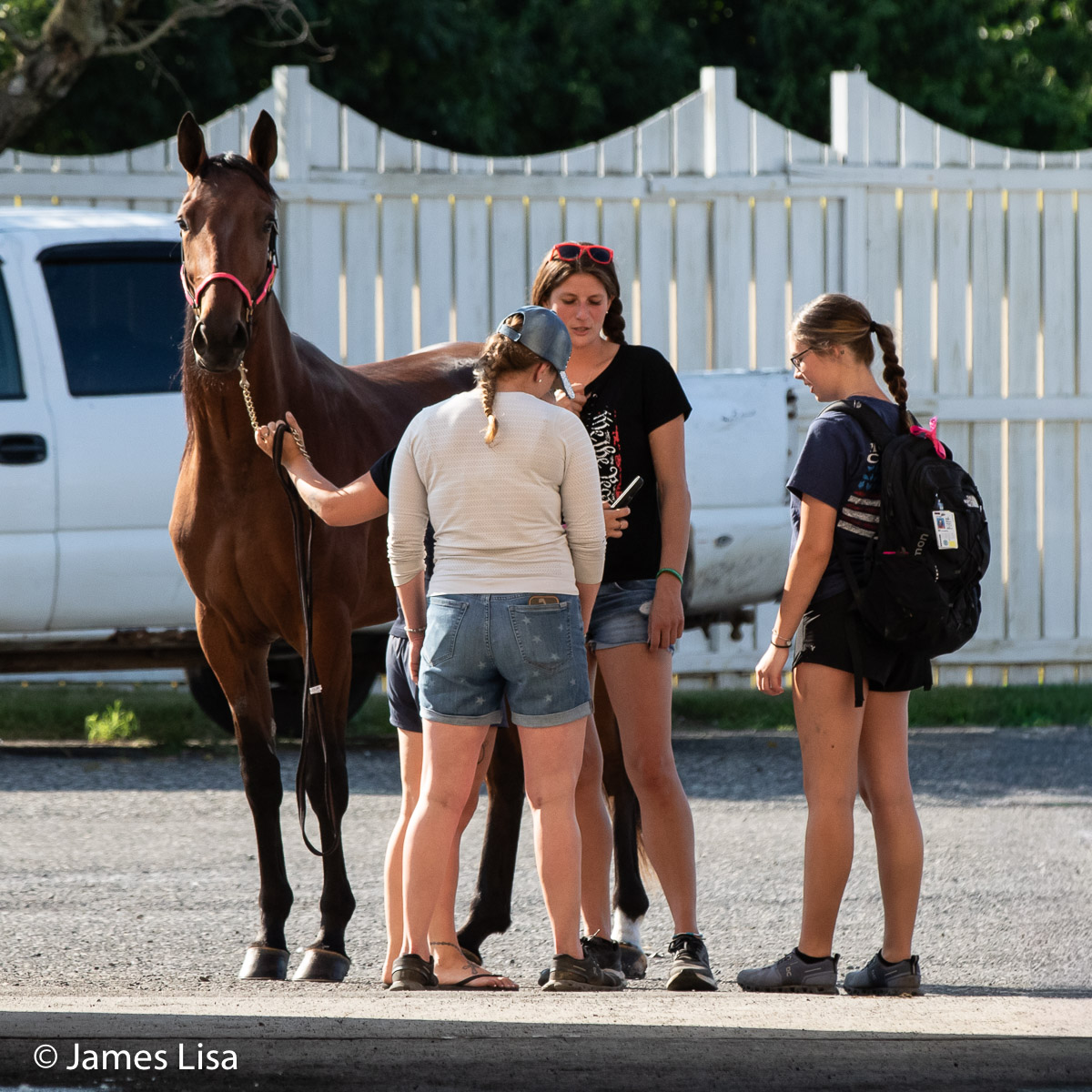 Lisa Photo tweet media