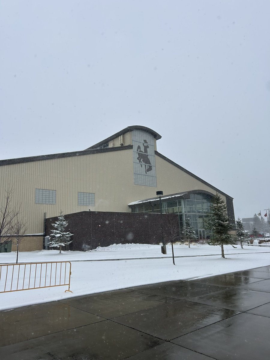 Davis Moon tweet media