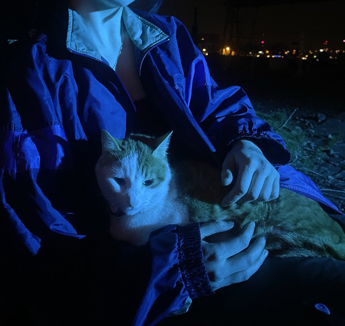 cel (hs)⁵⁹ tweet media