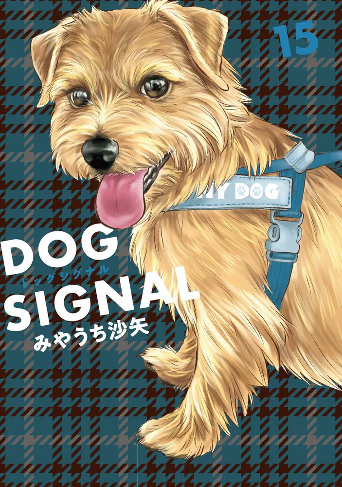 みやうち沙矢▶︎DOG SIGNAL tweet media