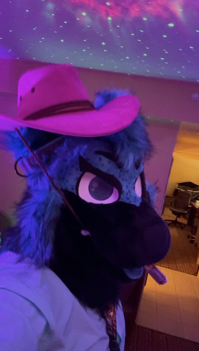 HighVoltage 🐺 👨‍✈️ ✈️ 🔜 AnthroCon!!! tweet media