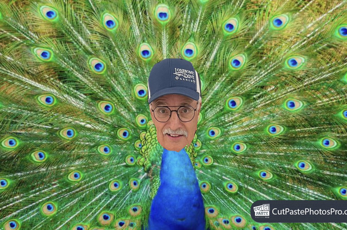 Congrats <a href="/ClaytonWicks/">Clayton Wicks</a> on qualifying for playoffs in the <a href="/CURLSASK/">CURLSASK</a> Club championships. If you need him, you’ll find Clayton strutting around the club lounge peacocking