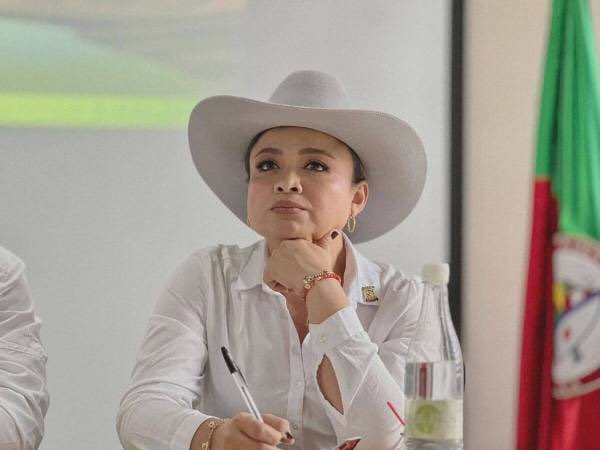 Abran los ojos y piensen en Colombia: no voten por Lina María Garrido, la corrupta cucaracha de Arauca, la ganzúa política de la banda criminal  ELN.  is.gd/prensaLN       is.gd/garrido-corrup…