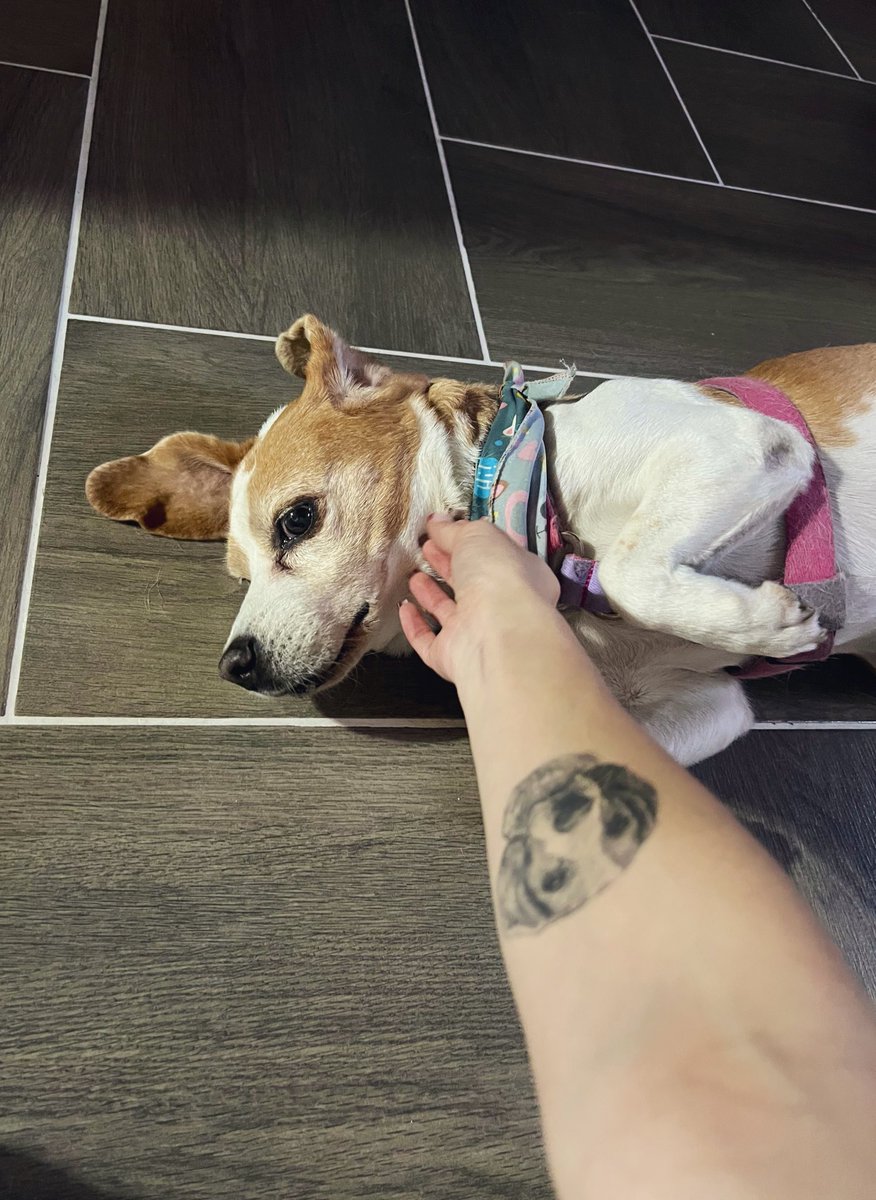 El tatuaje y la protagonista 😍