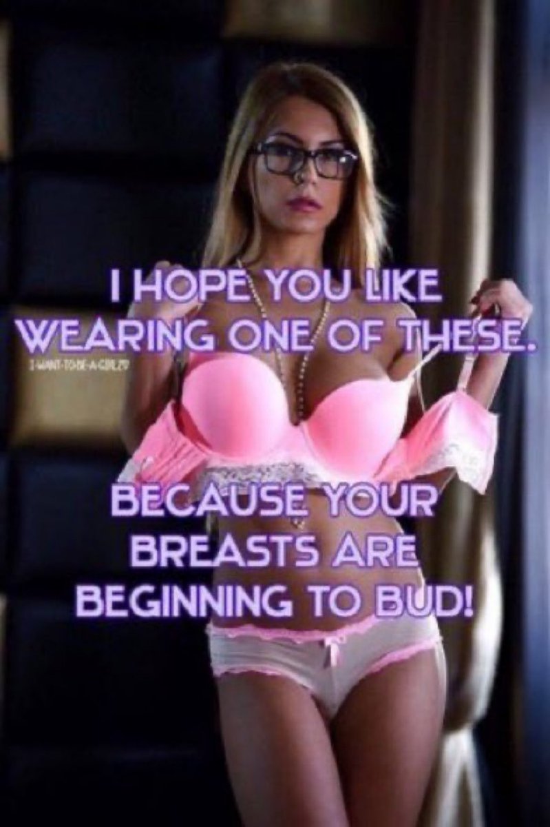 💎 𝕋𝕙𝕖 𝔻𝕠𝕞𝕞𝕖 𝕍𝕒𝕦𝕝𝕥 🌈 tweet media