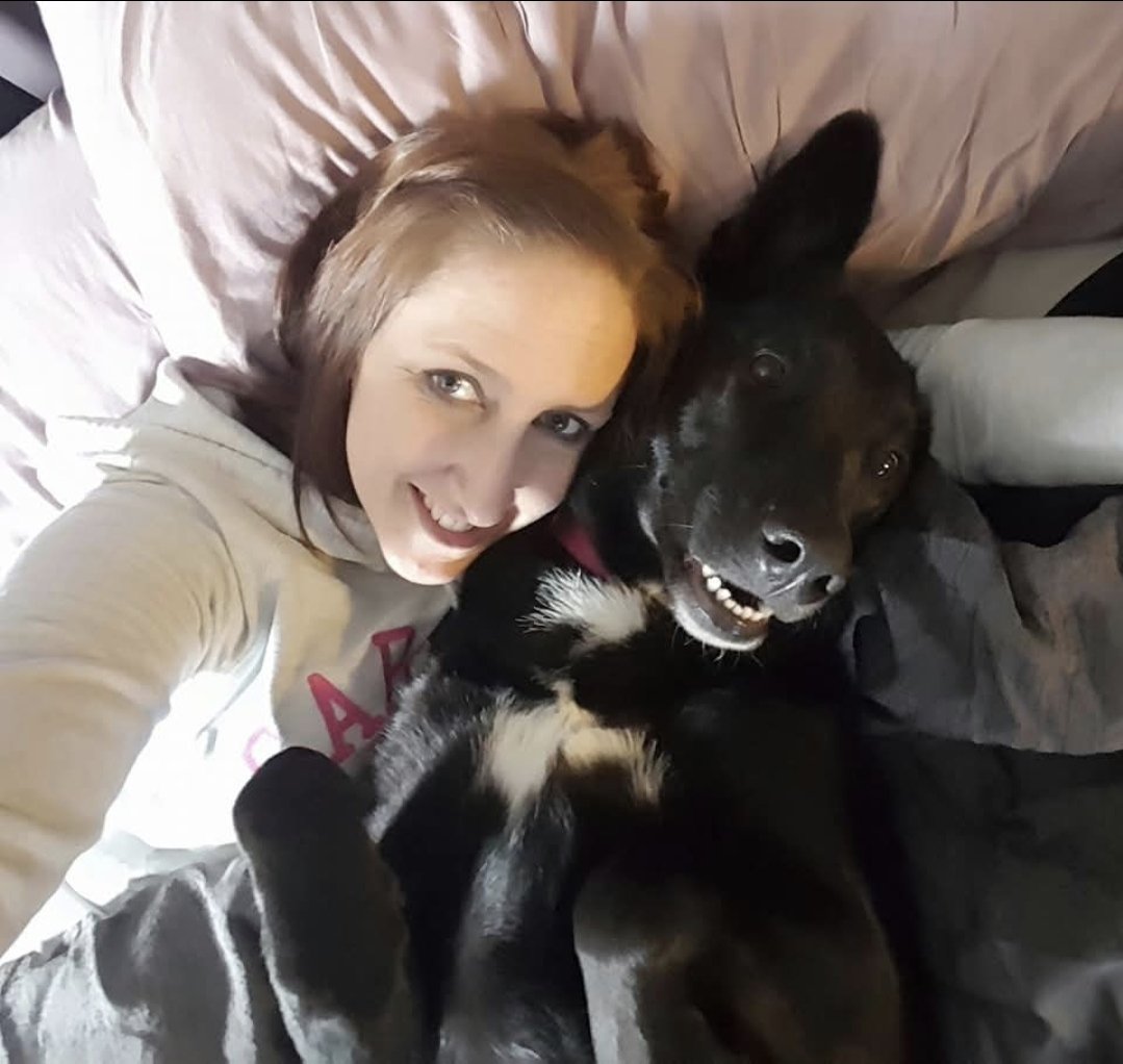 tracyarmstrong tweet media