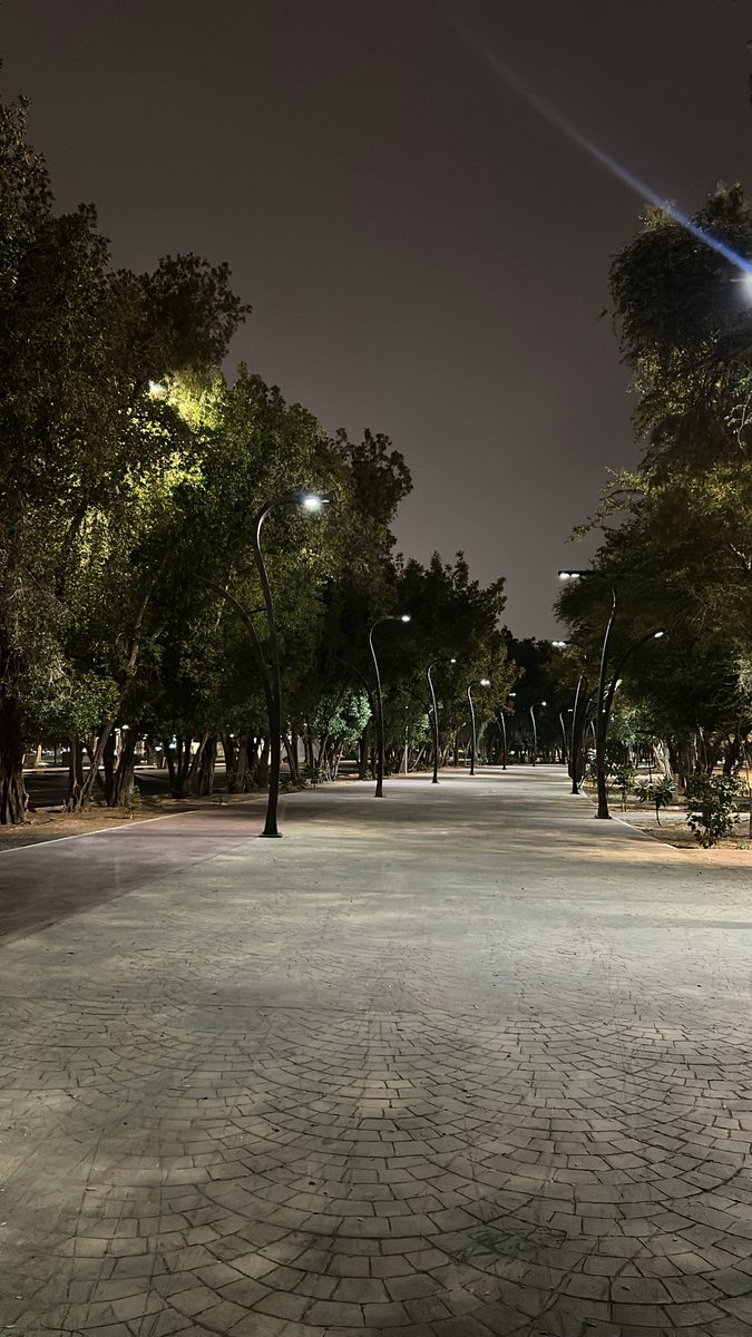 مدام لولو tweet media