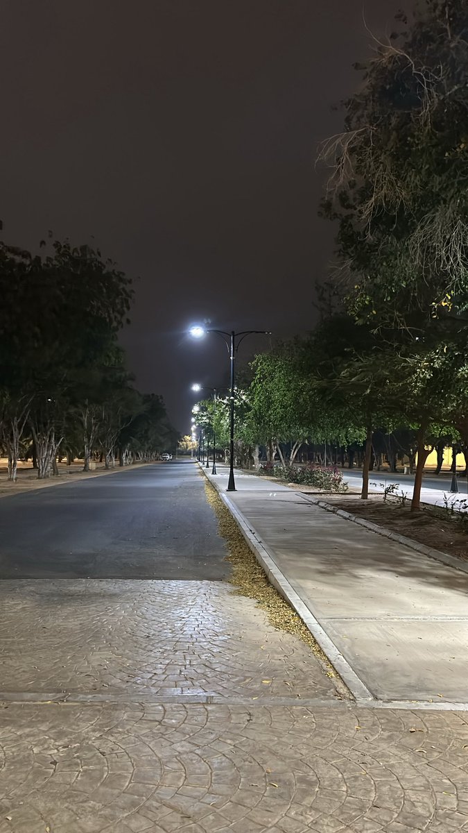 مدام لولو tweet media