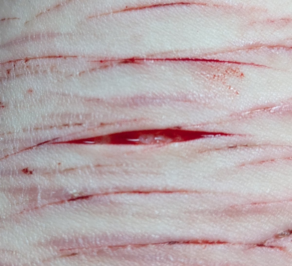 big stinka shtwt tweet media