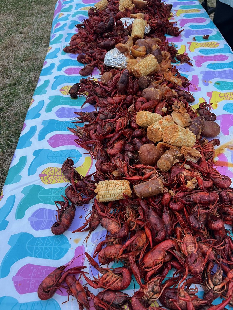 K A L E O tweet media