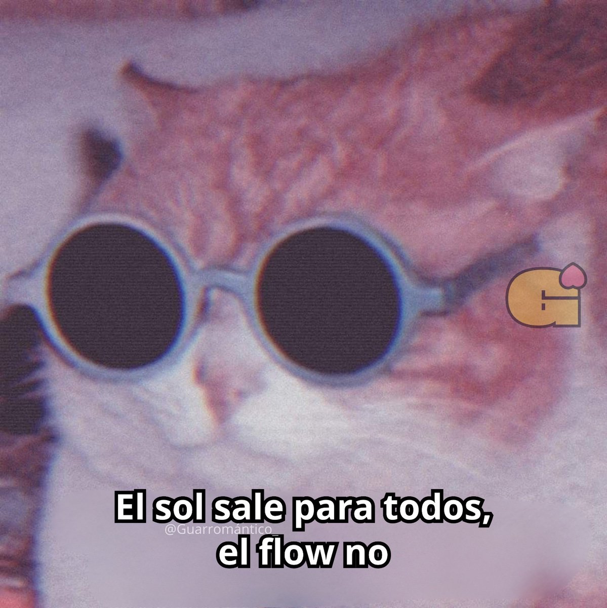 Guarromantico_'s tweet photo. Asies. https://t.co/Yc9h2h4Os1