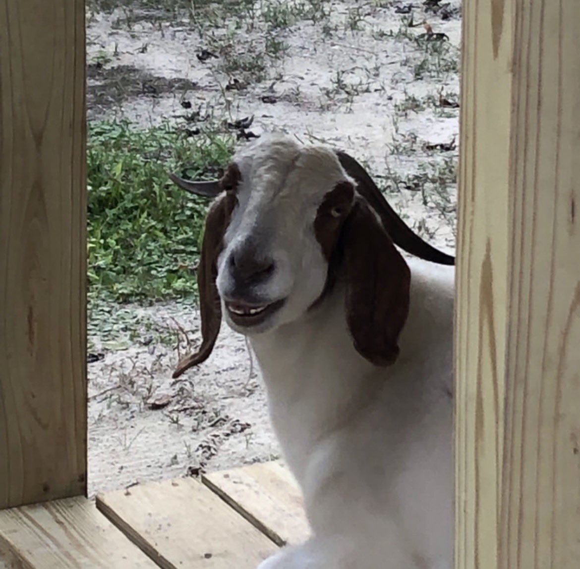 <a href="/AntiLeftMemes/">Anti Left Memes</a>