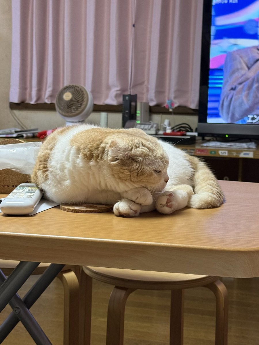 Yumi Asai tweet media