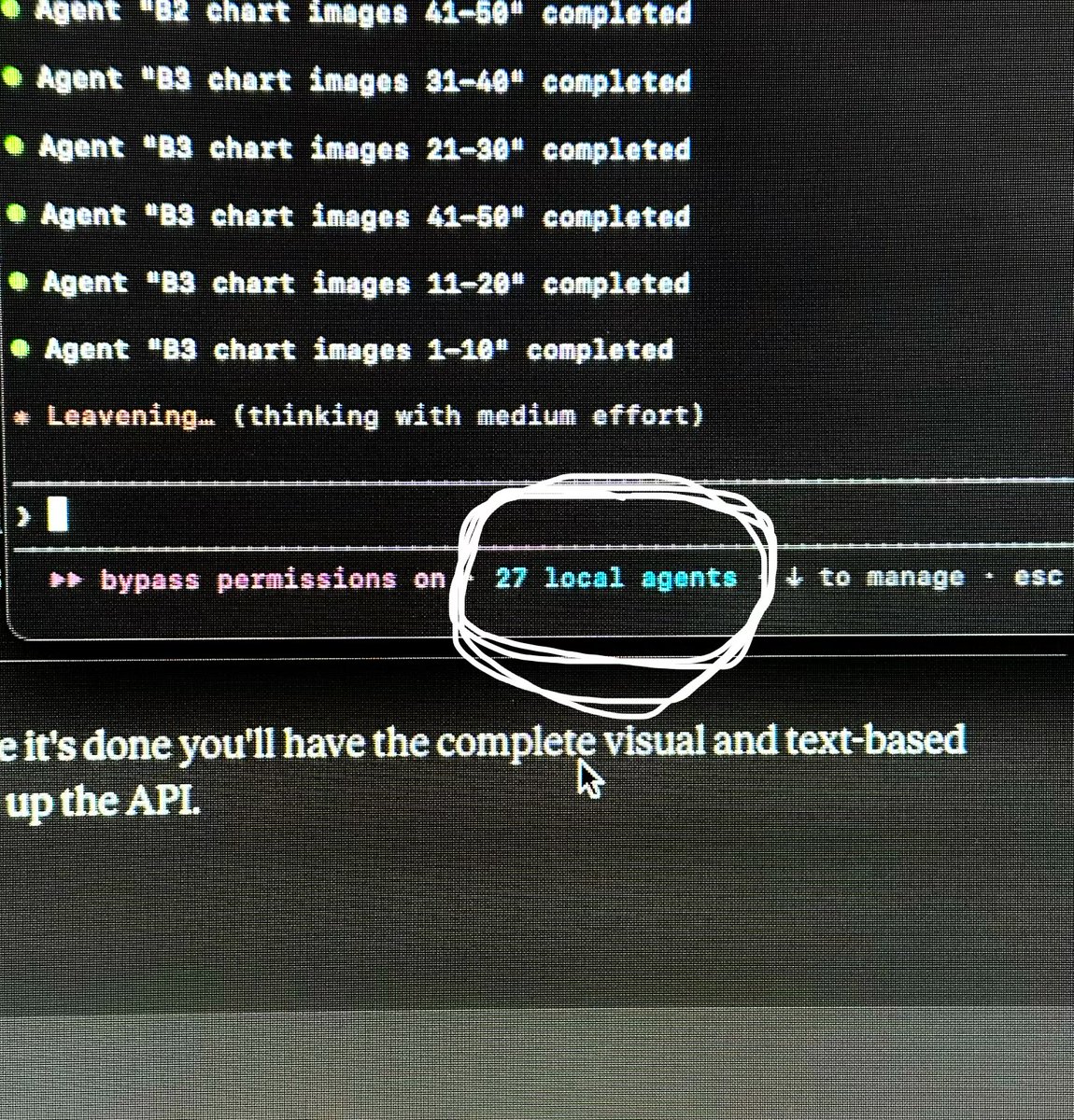 Lil Fish tweet media