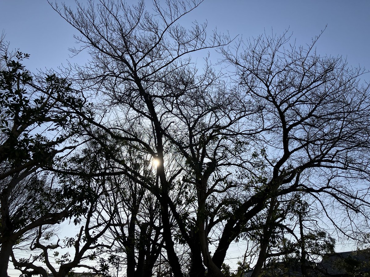 honobono92kobo's tweet photo. 晴れ☀️
本日靴教室は17時まで
見学予約があるので
本日は不可となります。

朝の日差しが
強くなってる気がします❗️

靴作りは
今日も地道に前進👞🔨

#湘南台
#靴作り
#見学予約受付中
#新しい趣味
#金曜日追加
#春から https://t.co/jkH5HTvXf3