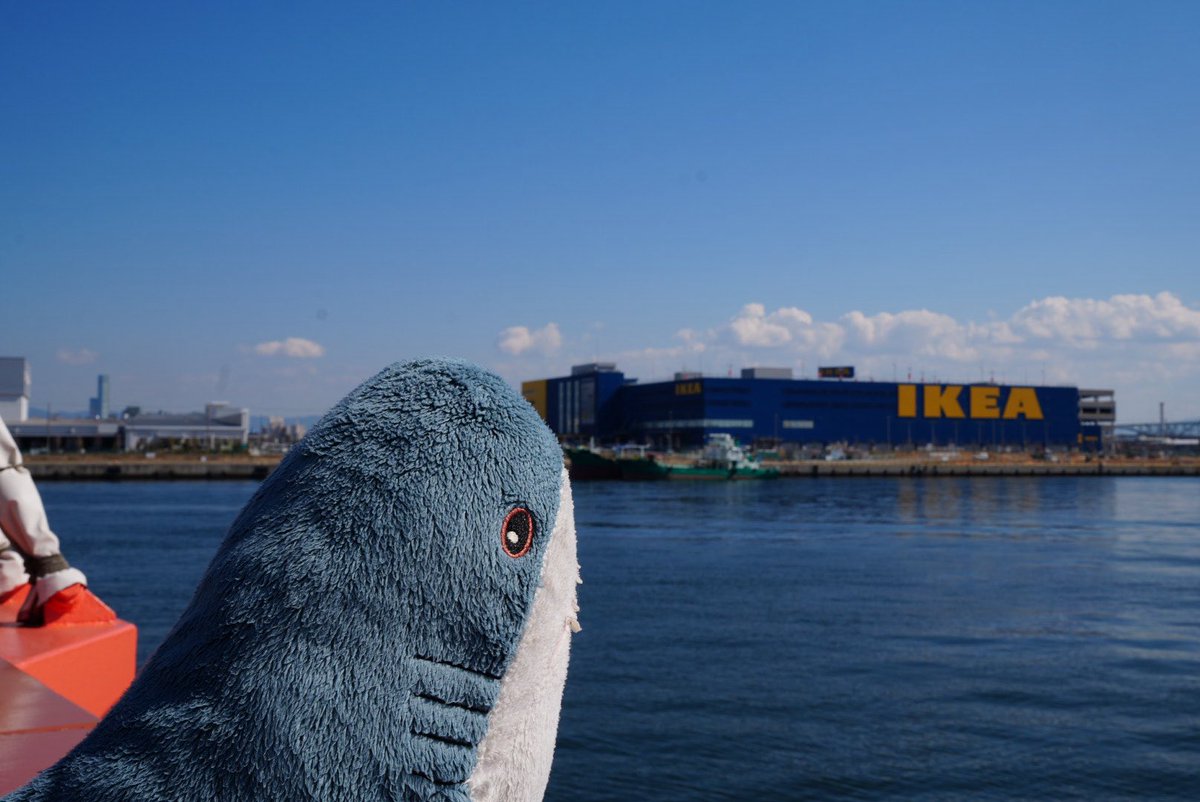 シャーくん tweet media