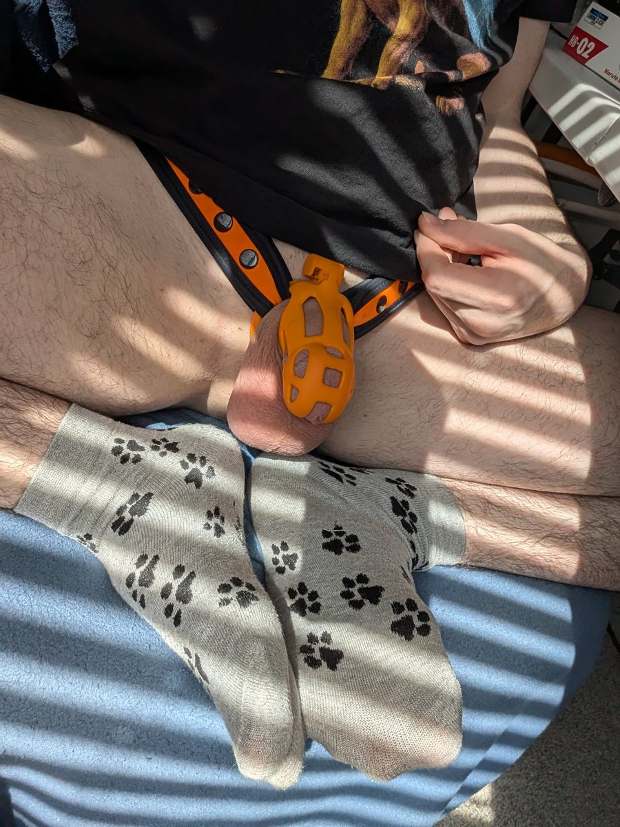 Gotemode's tweet photo. Fwiday :3 https://t.co/7Mc8XlFhh8