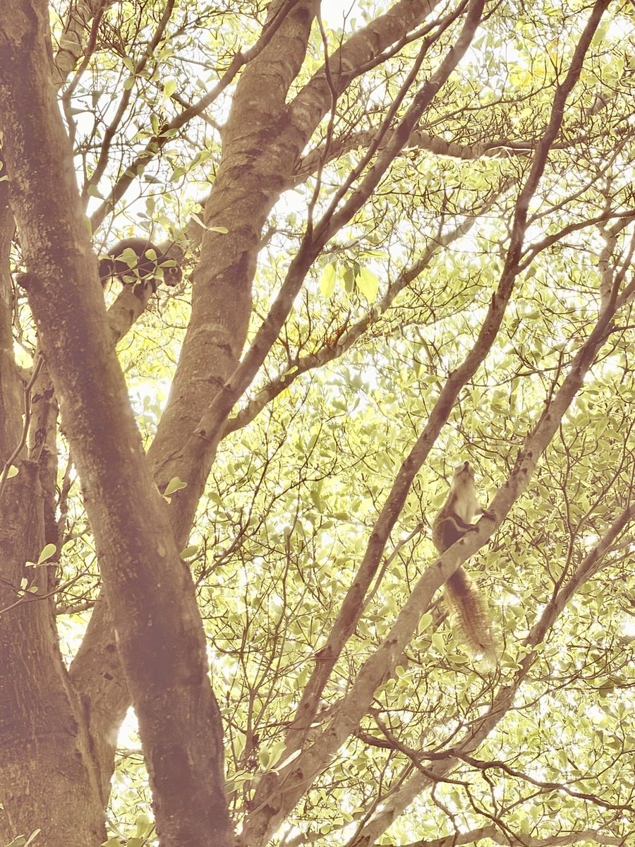 เรื่องเหล้าเข้าวันหยุด tweet media