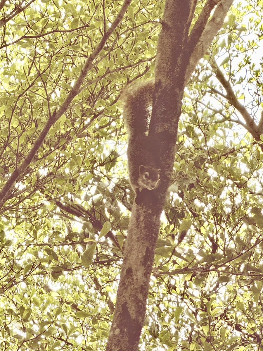 เรื่องเหล้าเข้าวันหยุด tweet media